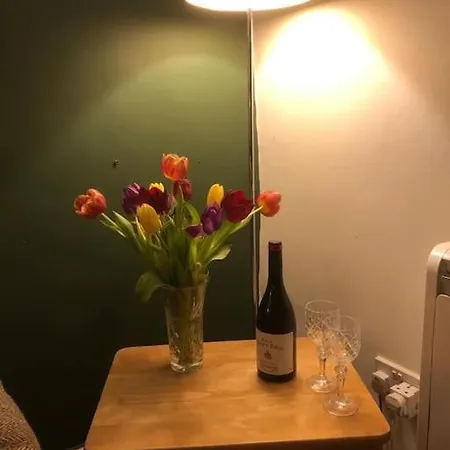 بيت للعطل Rose *