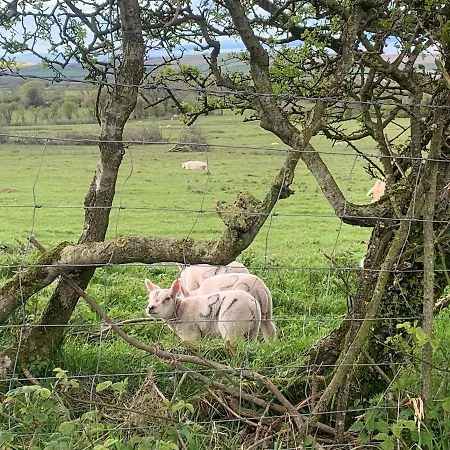 Vakantiehuis Rose Wigton